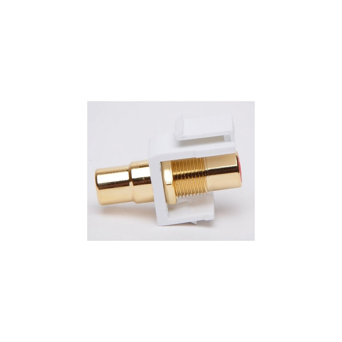 RCA- Feed Thru Module Insert Gold Plated  Keystone Female to Female