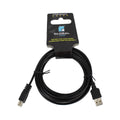 Rallonge USB 2.0 A mâle vers A femelle, 10 pi