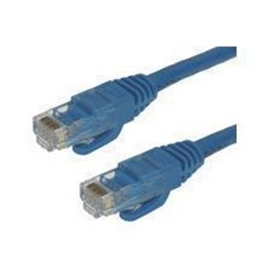Câble réseau Ethernet CAT6, 100 pi, bleu