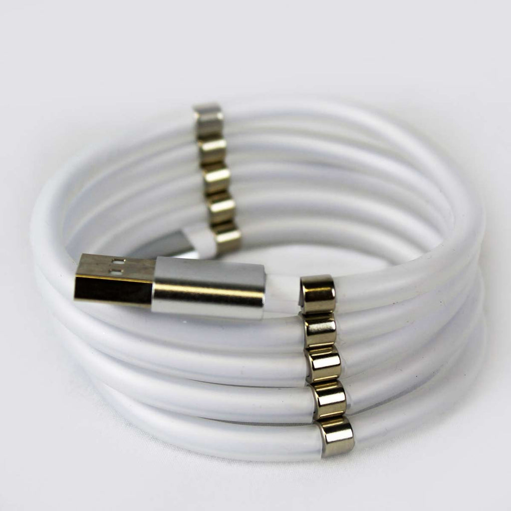 Câble magnétique USB-C vers USB-C, 2,4 A, 1 m