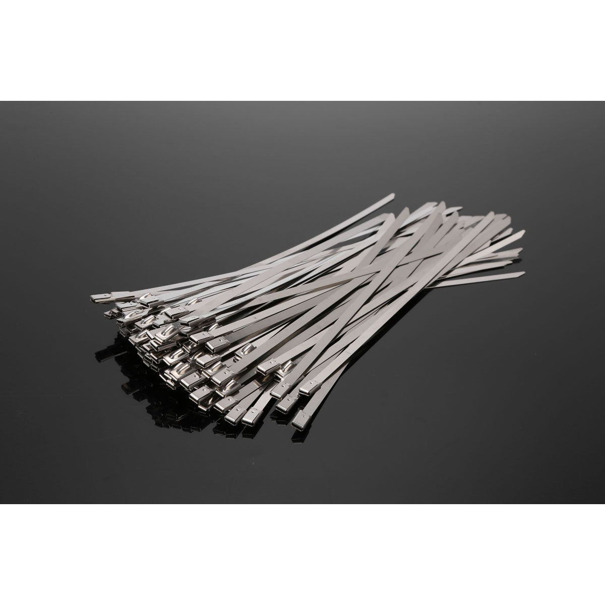 Attaches auto-bloquante en acier inoxydable 304 4.6x500mm, Sac de 100pcs